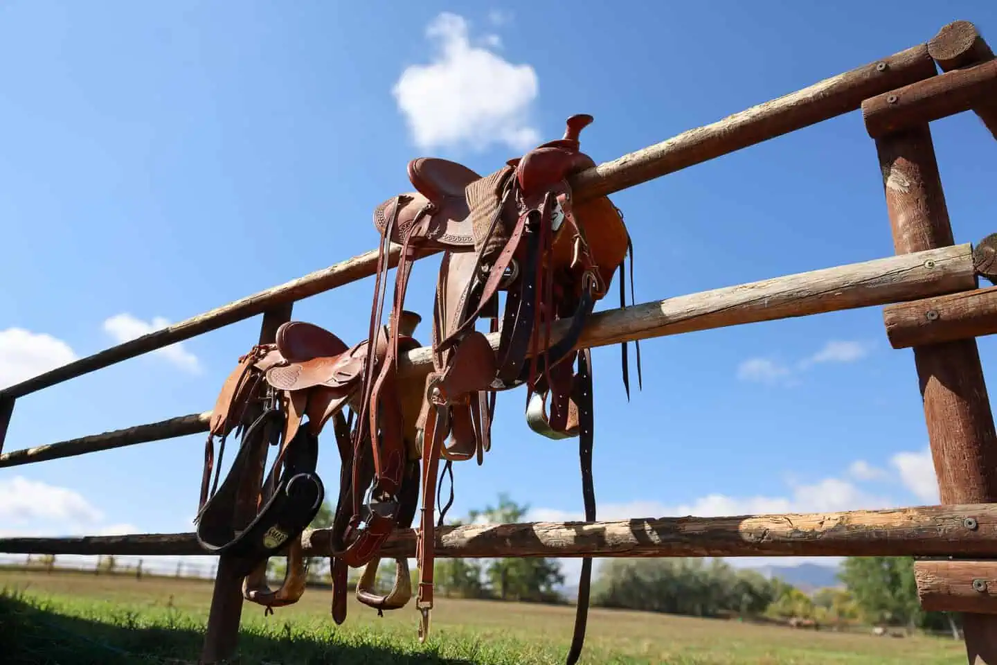 Special occasion carriage ride