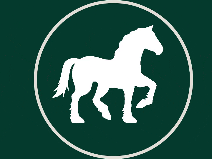 Meadowlark Ranch Horse