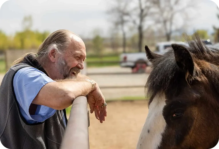 Meet our horses during a facility tour