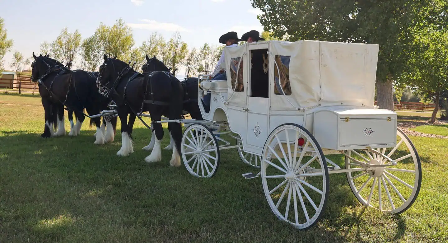 Team building activities at the ranch